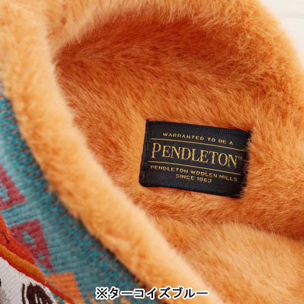 PEANUTS PENDLETON ニットルームシューズ (ダイヤモンドピーク)